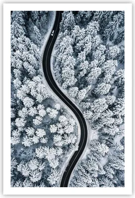 Produktbild von Poster - Poster ohne Rahmen - Wald Winter Straße - 61x91,5 cm - Wand Bild - Wanddeko - Wandbilder - Kunstposter - Wandposter - Bilder - Kunstdruck - Wanddekoration - Wandbild - P2XPA61x91-5010