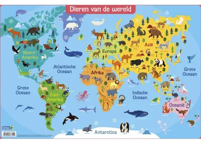 Zdjęcie produktu dla Deltas Achterbahntiere der Welt