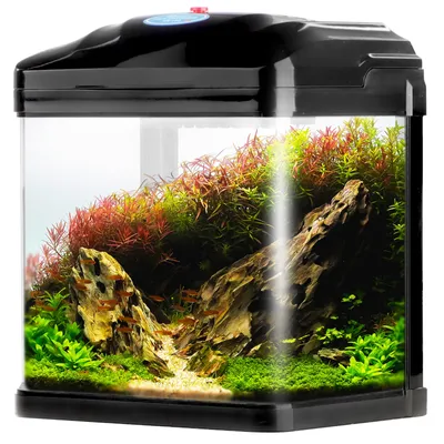 Zdjęcie produktu dla SUNSUN Pika-Pika AquaKids - akwarium 3l czarne SunSun
