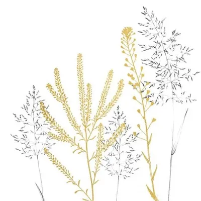 Produktbild von 20 Servietten Simple Elegance gold - Dezente Gräser 33x33cm
