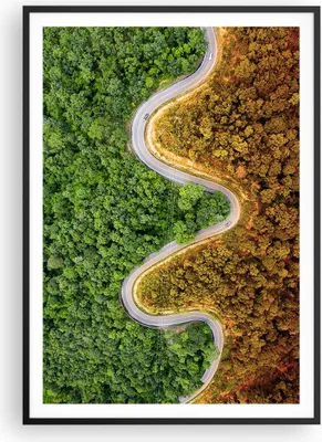 Produktbild von Gerahmtes Poster - Schwarzer Rahmen - Luftaufnahmen Weg Wald - 70x100 cm - Wand Bild - Wanddeko - Wandbilder - Kunstposter - Wandposter - Bilderrahmen - Bilder - Kunstdruck - P2BPA70x100-4659
