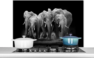 Produktbild von KitchenYeah®  Spritzschutz Küche - Küchenrückwand - Wandschutz für Herd und Spüle - Elefant - Schwarz - Weiß - Tiere 100x65 - Alu-Dibond (Alternative zum Spritzschutz aus Glas) - Hitzebeständig - Herd