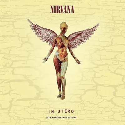 Produktbild von Nirvana: In Utero - 20th Anniversary (180g) (Limited Super Deluxe Edition) (33/45 RPM)