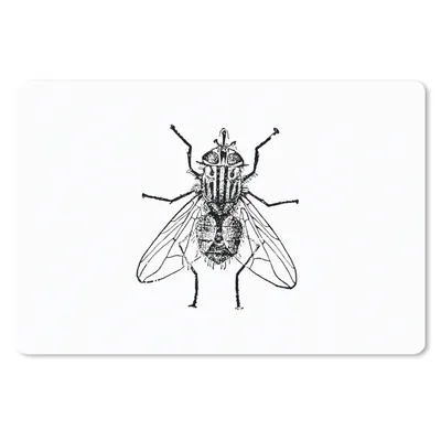 Produktbild von MuchoWow® Mauspad Mousepad Fliege - Tiere - Vintage - Schwarz und weiß 27x18 cm - Mousepads - Maus Mat - Pad - Mausunterlage - Büroartikel - Desk Matten