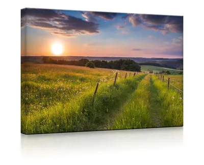 Produktbild von lightbox multicolor | Wandbild beleuchtet | Wunderschöne Bergwiese im Sonnenaufgang | 80x60 cm | fully lighted