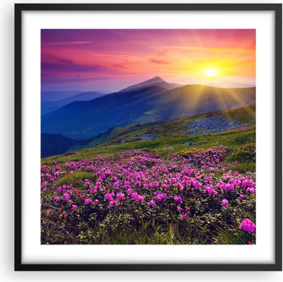 Produktbild von Gerahmtes Poster - Schwarzer Rahmen - Wiese Berge Landschaft - 50x50 cm - Wand Bild - Wanddeko - Wandbilder - Kunstposter - Wandposter - Bilderrahmen - Bilder - Kunstdruck - Wandbild - P2BAC50x50-2676