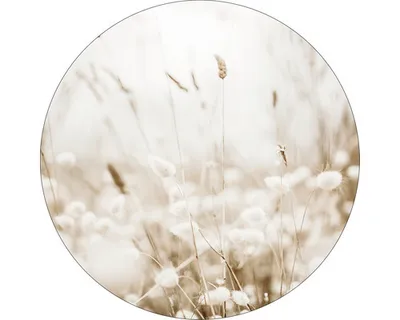 Produktbild von Glasbild Meadow flowers III Ø 50 cm