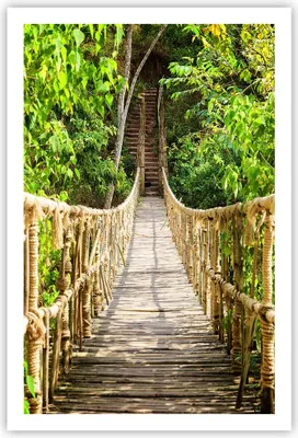 Produktbild von Poster - Poster ohne Rahmen - Brücke Seil Dschungel - 61x91,5 cm - Wand Bild - Wanddeko - Wandbilder - Kunstposter - Wandposter - Bilder - Kunstdruck - Wanddekoration - Wandbild - P2XPA61x91-4319