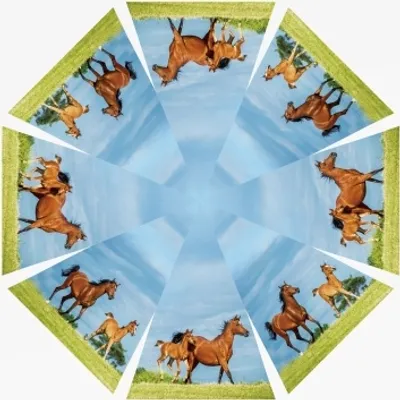 Produktbild von Kinderschirm, Pferde, Tiere Automatikschirm Stockschirm Schirm Schirme Pferd Pony