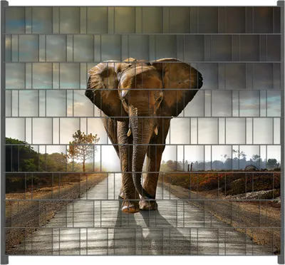 Produktbild von Wallario Zaunsichtschutz mit Motiv Elefant bei Sonnenaufgang in Afrika für Ein- und Doppelstabmatten Zäune in der Größe 200 x 180 cm