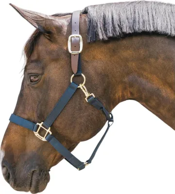 Produktbild von Kentucky Horsewear Halfter Breakaway Nylonhalfter Navy Cob