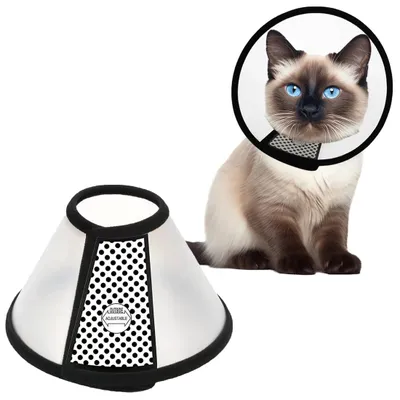 Productafbeelding van Halsband voor huisdieren, herstelsysteem voor katten, 22-26 cm