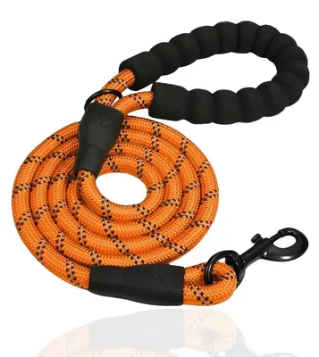 Image de Laisse pour chien, longueur 5 mètres, robuste, avec poignée rembourrée et mousqueton verrouillable