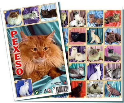 Produktbild von Pexeso - Katzen