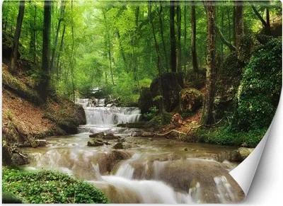 Produktbild von Vlies fototapete Bergbach Wald natur 150x105 cm Feeby Grün inkl. Kleber einfache Montage