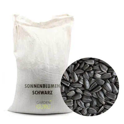 Produktbild von Schwarze Sonnenblumenkerne 25 kg Vogelfutter Ernte 2025 Ganzjahresvogelfutter Winterfutter für Wildvögel