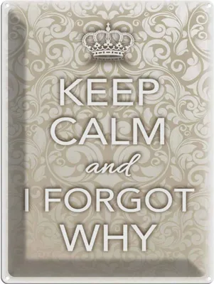 Produktbild von vianmo Blechschild 40x30 cm Keep Calm and i forgot why