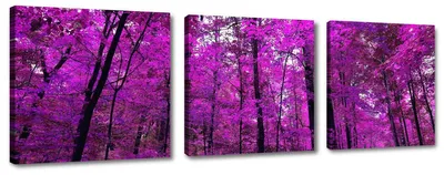 Obrázek produktu pro Obraz na plátně Purpurová lesní cesta 3-dílný 150x50 cm