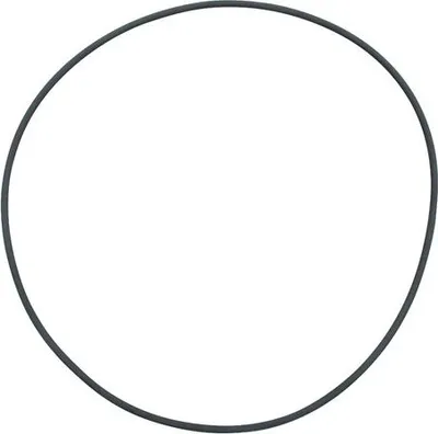Produktbild von Fluval Filterdeckel O-Ring für Fluval FX5/FX6