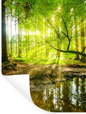 Produktbild von MuchoWow® Wandtattoo Wandsticker Wandaufkleber Wald - Landschaft - Wasser - Bäume - Sonne - Grün - Natur 30x40 cm Selbstklebend und Repositionierbar - Sticker - Dekorfolie