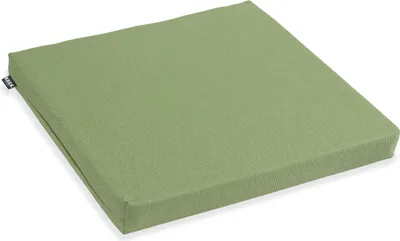 A single green cushion is shown on a white background.