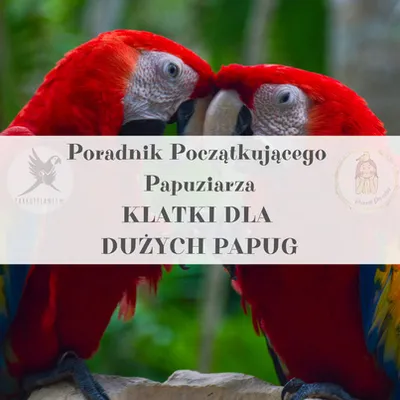 Zdjęcie produktu dla Poradnik ParrotPlanet - Poradnik Początkującego  Papuziarza - Klatki dla dużych Papug