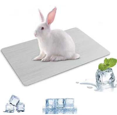 Produktbild von Kühlkissen aus leichtem Aluminium – Kühlmatte für Kaninchen – Kühlmatte für Hamster – Kühlmatte für Meerschweinchen – Kühlendes Kissen – 300 x 200 mm