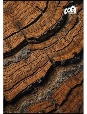Zošit, A4, štvorčkový, 80 listov, COOL BY VICTORIA "Wood & Rock"