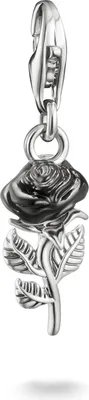 Produktbild von Thomas Sabo True Romance 2232-664-11 Charm Anhänger