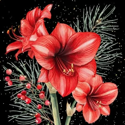 Produktbild von 20 Servietten Bouquet Hivernal dÁmaryllis black - Roter Amaryllis auf schwarz 33x33cm