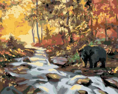 Produktbild von Zuty - Malen nach Zahlen - BÄR AM FLUSS UND SONNENUNTERGANG (D. RUSTY RUST), 40x50 cm, ohne Keilrahmen