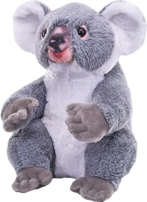Produktbild von Wild Republic - Kuscheltier - Artist - Koala