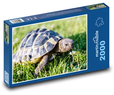 Obrázek produktu pro martinpuzzle - Puzzle 2000 - Želva