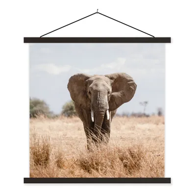 Produktbild von MuchoWow® Textilposter Elefant - Natur - Tiere - Porträt 60x60 cm mit schwarzem Rahmen - Posteraufhänger