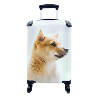 Produktbild von MuchoWow® Koffer Handgepäck Trolley Rollkoffer Kleine Reisekoffer mit 4 Rollen - Shiba Inu vor weißem Hintergrund - Cabin Size < 55x40x23 cm & 55x40x20 cm - Fotokoffer - Kabinenkoffer - Boardgepäck - Reise-Box - Reisekoffer - Reisegepäck - Koffer mit Bild - Trolley für Kinder