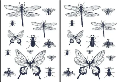 Produktbild von 2 schwarz-weiße Bügelbilder - Insekten