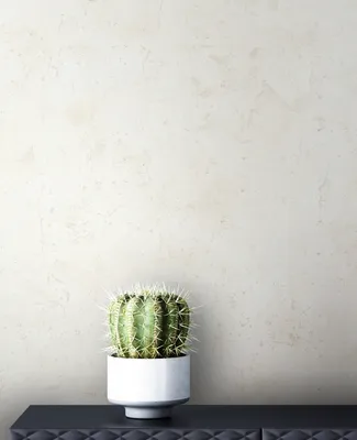 Produktbild von NEWROOM Tapete Beige Vliestapete Beton - Betonoptik Modern Creme Natur Zement Betonwand Industrial