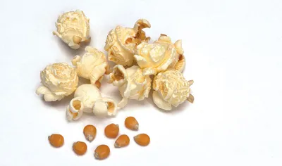 Produktbild von Haase Mushroom Popcorn 10 Kg Premium Popcornmais für höchste Ansprüche