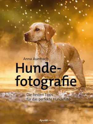 Produktbild von Hundefotografie