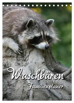 Produktbild von Waschbären Familienplaner (Tischkalender 2027 DIN A5 hoch), CALVENDO Monatskalender