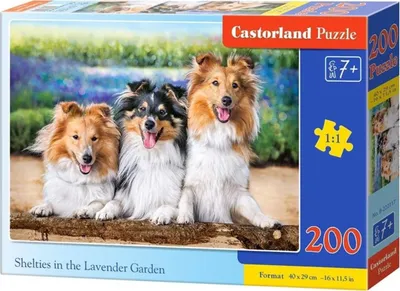 Immagine prodotto di Puzzle 200 pezzi Shelties nel Giardino di Lavanda 222117