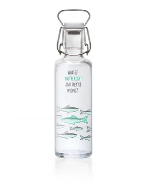 Produktbild von soulbottles you’re right Glas Trinkflasche | 600 ml | auslaufsicher | plastikfrei