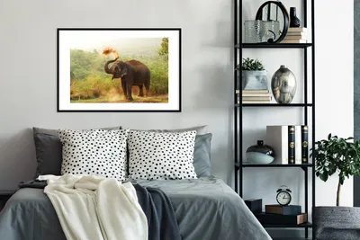 Produktbild von MuchoWow® MuchoWow® Gerahmtes Poster Elefant - Tiere - Wald - Bäume 90x60 cm - Poster mit zchwarzem Bilderrahmen - Wanddekoration - Fotos