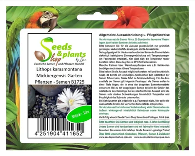 Produktbild von 10x Lithops karasmontana Mickbergensis Garten Pflanzen - Samen B1725
