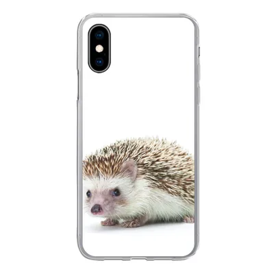 Produktbild von MuchoWow® Handyhülle Schutzhülle Hülle für iPhone X Igel - Tiere - Weiß Silikon Softcase Handy Hülle - Handyhülle
