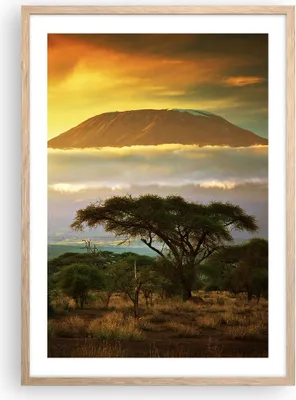Produktbild von Gerahmtes Poster - Rahmen in heller Eiche - Safari Tierwelt Berg Kenia - 50x70 cm - Wand Bild - Wanddeko - Wandbilder - Wandposter - Bilderrahmen - Bilder - Kunstdruck - Wandbild - P2NPA50x70-3170