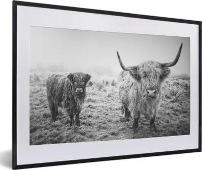 Produktbild von MuchoWow® MuchoWow® Gerahmtes Poster Schottische Hochlandbewohner - Licht - Himmel - Natur 60x40 cm - Poster mit zchwarzem Bilderrahmen - Schlafzimmer - Plakat in Rahmen - Drucken