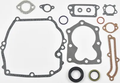 Produktbild von Dichtungssatz Für Briggs&Stratton Quantum