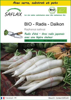 Image de SAFLAX Ensemble de culture -- Radis - Daïkon - 100 graines - Raphanus