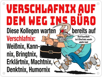 Produktbild von Verschlafnix Wikinger Metallschild in 15x20 cm -Kollegen im Büro: Viele Nixe.